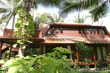 Coconut Tropicana 2